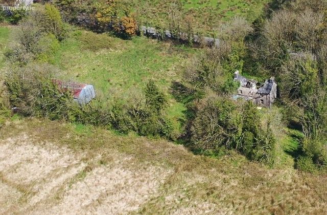 Rushpark, Farragher, Ballymacurley, Co. Roscommon - Click to view photos
