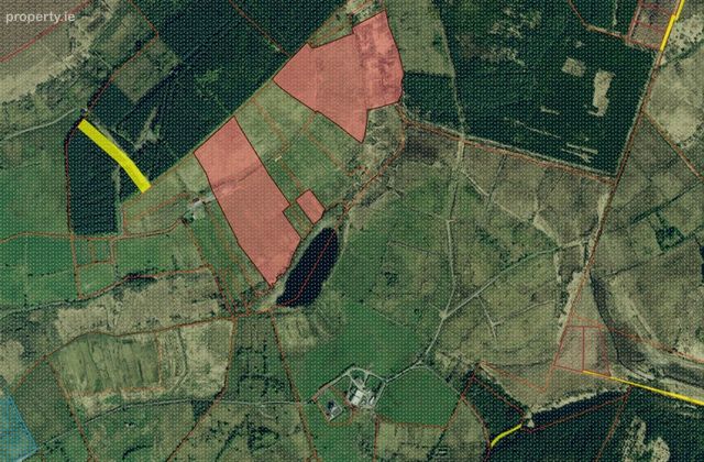 Lands Battlefield, Culfadda, Ballymote, Co. Sligo - Click to view photos