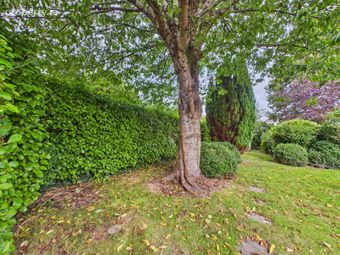 146 Viewmount Park, Dunmore Road, Waterford City Centre, Co. Waterford - Image 3