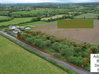Ballycormick, Mountrath, Laois, Knocks, Co. Laois - Image 2