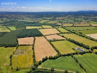 Farm At Newtown - Entire, Bonnettstown, Co. Kilkenny, Tullaroan, Co. Kilkenny - Image 2