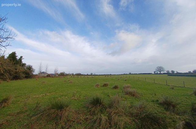 0.543 Acre / 0.22 Ha, Lehanagh, Mountbellew, Co. Galway, Mountbellew, Co. Galway - Click to view photos