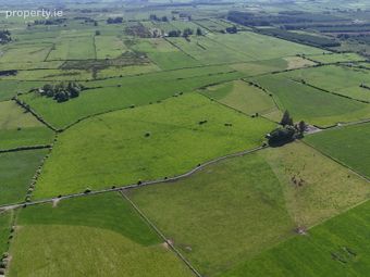 Ballyconboy, Ballinagare, Castlerea, Co. Roscommon, Bellanagare, Co. Roscommon - Image 5