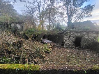 Ballcallen, Fenagh, Co. Leitrim - Image 5