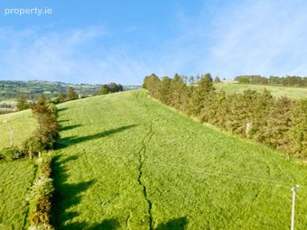Agricultural Land, Knockaninane West, Kilcummin, Killarney, Co. Kerry, Kilcummin, Co. Kerry