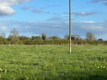 Lisheenataggart, Loughmore, Templemore, Co. Tipperary - Image 4