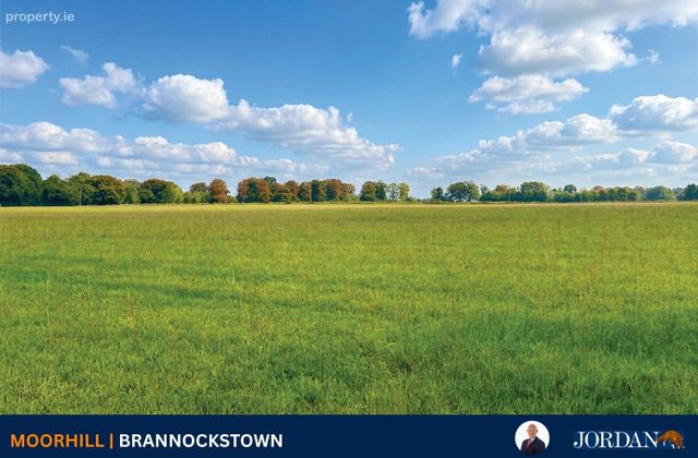 C. 16 Acres, Moorhill, Brannockstown, Brannockstown, Co. Kildare - Click to view photos