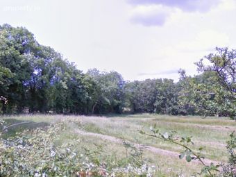Lands At Corrabawn, Drumlish, Co. Longford - Image 4