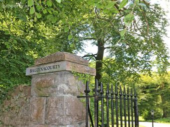 Ballynacourty House, Ballynacourty, Castleconnell, Co. Limerick, Castleconnell, Co. Limerick - Image 5