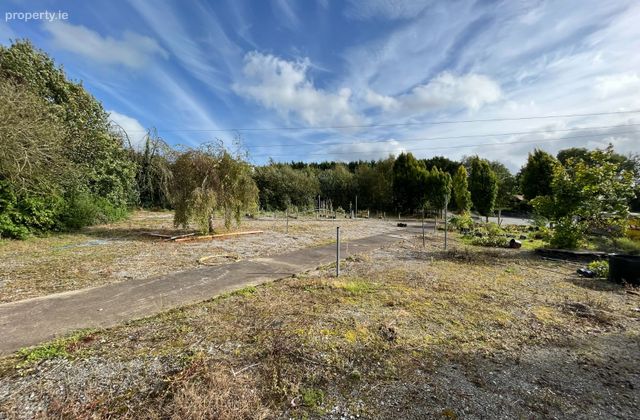 Ashfort, Crecora, Derryknockane, Co. Limerick - Click to view photos