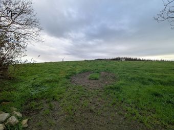 C.38 Acres At Derrybrick, Knockalough, Co. Clare - Image 3