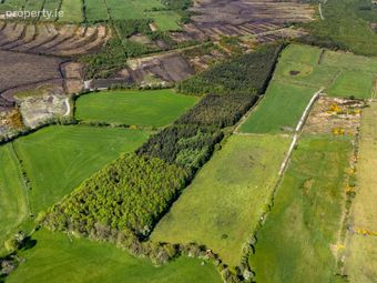 A1g54, Tonalig, Ballinasloe, Co. Galway - Image 4