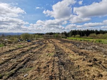 Broughane, Castleisland, Co. Kerry - Image 4