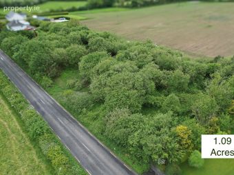 Ballycormick, Mountrath, Laois, Knocks, Co. Laois - Image 3