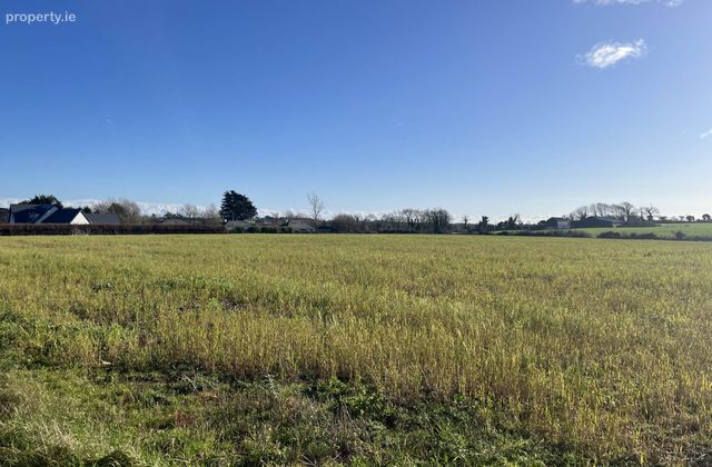 Shielbaggan, Ramsgrange, Co. Wexford, Ramsgrange, Co. Wexford - Click to view photos