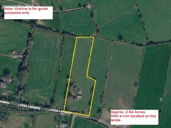 Lisheeny, Kylebrack, Loughrea, Co. Galway, Duniry, Co. Galway