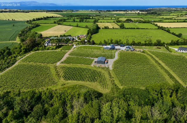 Fairy Trees Winery, Willistown, Drumcar, Drumcar, Co. Louth - Click to view photos