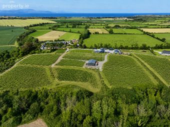 Fairy Trees Winery, Willistown, Drumcar, Drumcar, Co. Louth