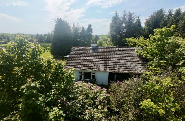 Annaghmore, Carrick-on-shannon, Gortletteragh, Co. Leitrim - Click to view photos