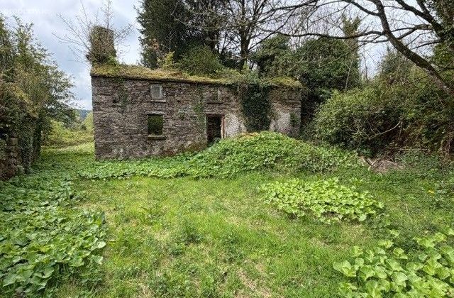 Ballyshane, Inistioge, Co. Kilkenny - Click to view photos