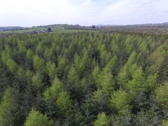 Derragh, Kilkelly, Co. Mayo