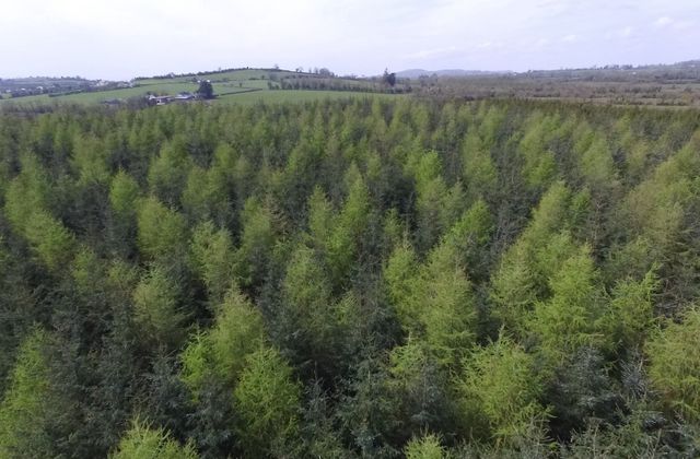 Derragh, Kilkelly, Co. Mayo - Click to view photos