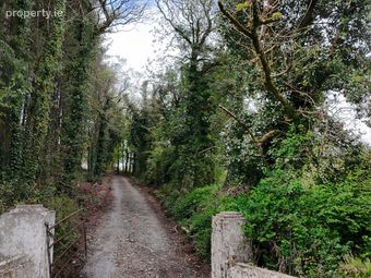 Adoon, Gorvagh, Co. Leitrim - Image 3