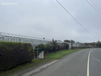 Ralph Hill, Ralph, Fethard-On-Sea, Co. Wexford - Image 5