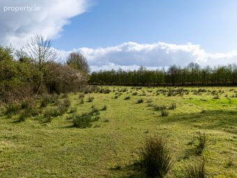 Ard, Geashill, Co. Offaly, Geashill, Co. Offaly - Image 5