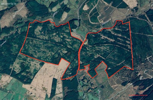 351 Acres Of Forestry Land Gortaderra, County Clare, Scarriff, Co. Clare - Click to view photos