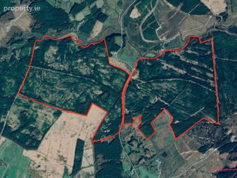 351 Acres Of Forestry Land Gortaderra, County Clare, Scarriff, Co. Clare