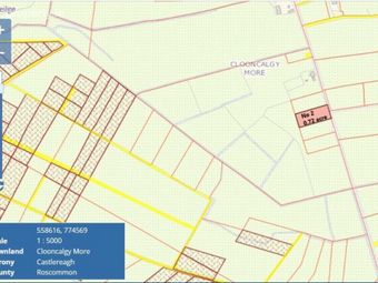 Sites C. 0.72 Acres, Clooncalgy More, Ballinlough, Co. Roscommon, Ballinlough, Co. Roscommon - Image 3