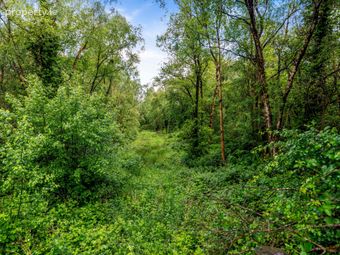 Lands, Rossarrell, Glaslough, Co. Monaghan, Glaslough, Co. Monaghan - Image 5