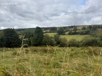 Lands At Lurragh, Ballyfarnon, Co. Roscommon, Folio Rn7797f, Ballyfarnon, Co. Roscommon - Image 5