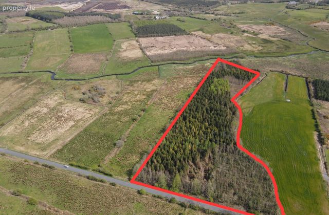 Logboy, Claremorris, Co. Mayo - Click to view photos