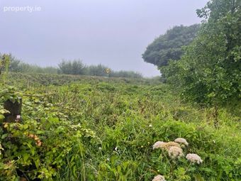 Carroweragh, Kilshanny, Co. Clare - Image 4