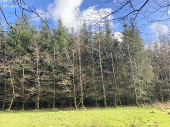 Knockalough Commons, Upperchurch, Thurles, Co. Tipperary - Image 4