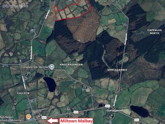 Ballyillaun, Kilmaley, Ennis, Co. Clare, Kilmaley, Co. Clare - Image 2