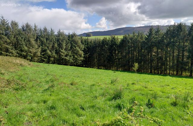 Croughmakeen, Doon, Co.limerick, Doon, Co. Limerick - Click to view photos