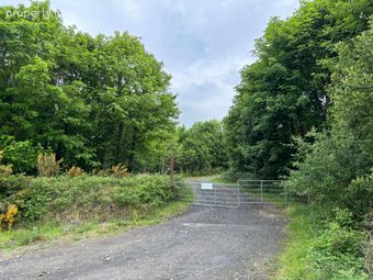 Project West Forestry, Ballykelly, Co. Clare, O'Callaghans Mills, Co. Clare - Image 2