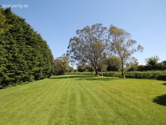 Windy Heights, Ballynoe, Ballinhassig, Co. Cork - Image 3