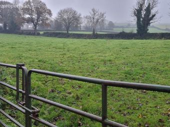 New Deerpark, Bunclody, Co. Carlow, Bunclody, Co. Carlow - Image 2