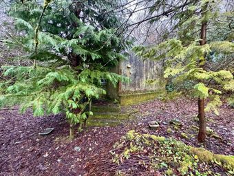 Stonepark, Ballinlough, Co. Roscommon - Image 5