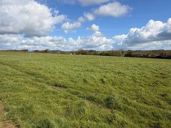 Boley, Ballycullane, Co. Wexford - Image 5