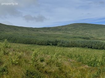 Ref 1128 - Forestry Lands, Maulin, Aghatubrid, Cahersiveen, Co. Kerry - Image 5