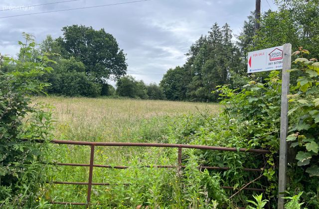 Cloonamerrin, Mountshannon, Co. Clare - Click to view photos
