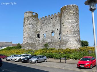 31 Millbrook, Mill Lane, Carlow Town, Co. Carlow - Image 3