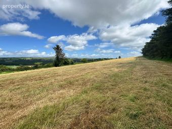 Agricultural Land, Knockaninane West, Kilcummin, Killarney, Co. Kerry, Kilcummin, Co. Kerry - Image 5