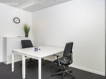 Regus, Ducart Suite, Castletroy Park Commercial Campus, Singland, Co. Limerick - Image 5