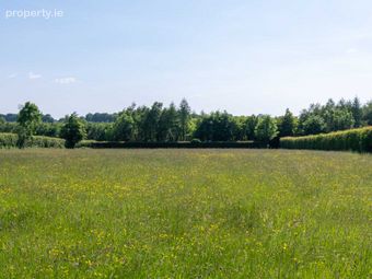 Castlegar East, Ahascragh, Ballinasloe, Co. Galway, Ahascragh, Co. Galway - Image 3